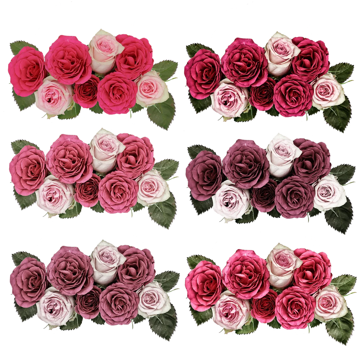 Plantes et fleurs vintage : les associations qui fonctionnent