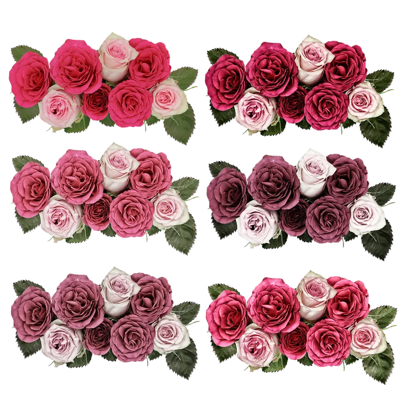 Plantes et fleurs vintage : les associations qui fonctionnent