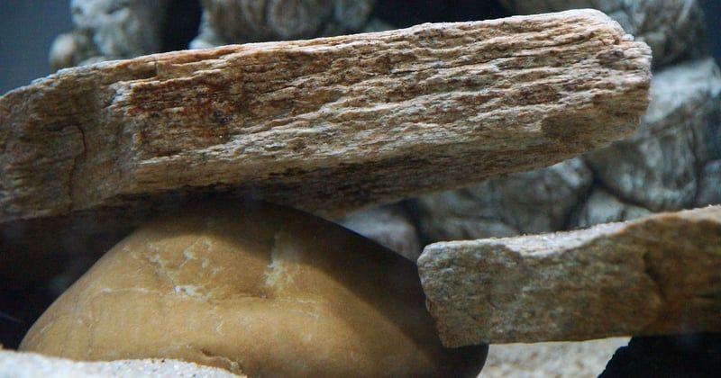 Comment mettre pierre dans un aquarium : le guide simple et efficace