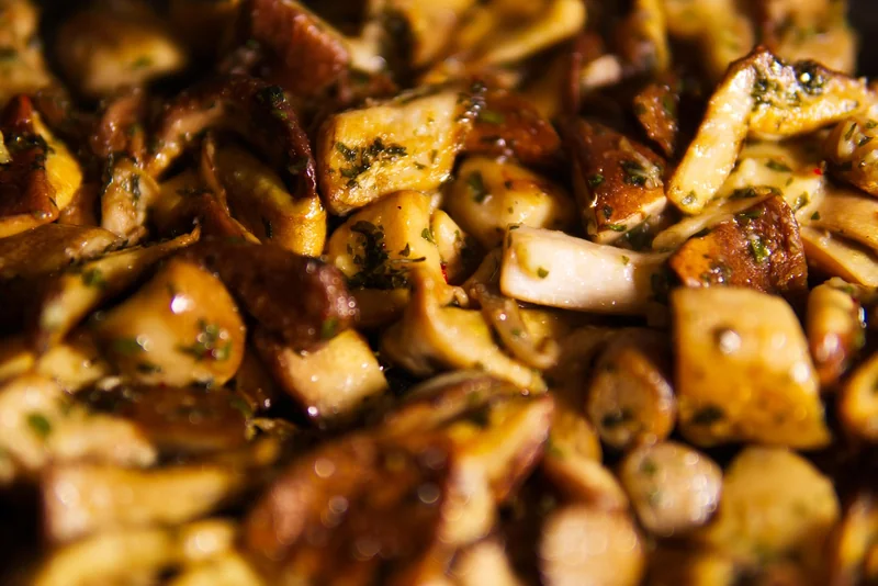 Comment cuisiner le bolet jaune : mes recettes testées