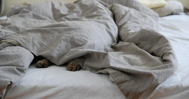 Erreurs fréquentes quand on achète une couette pour lit 140