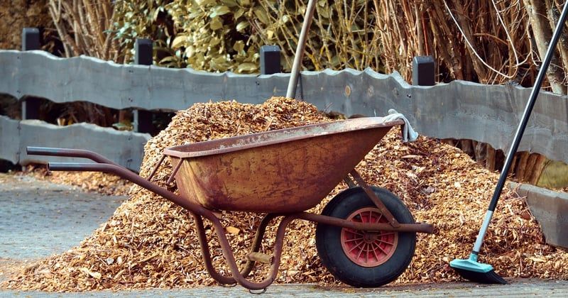 Les tendances du jardinage et outils de jardin à adopter en 2026