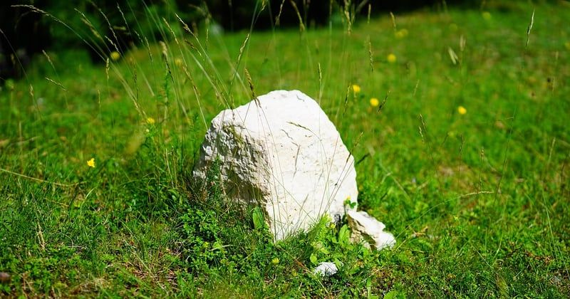 Signe cambriolage cailloux : le repère discret qui trahit les voleurs