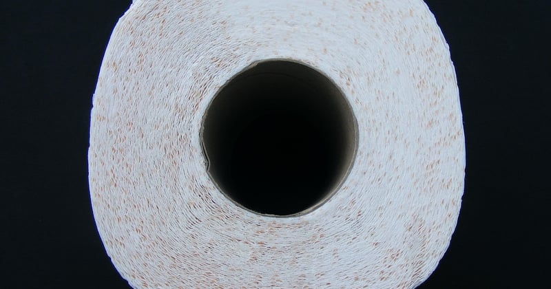 Vers noirs dans les toilettes : causes et solutions efficaces